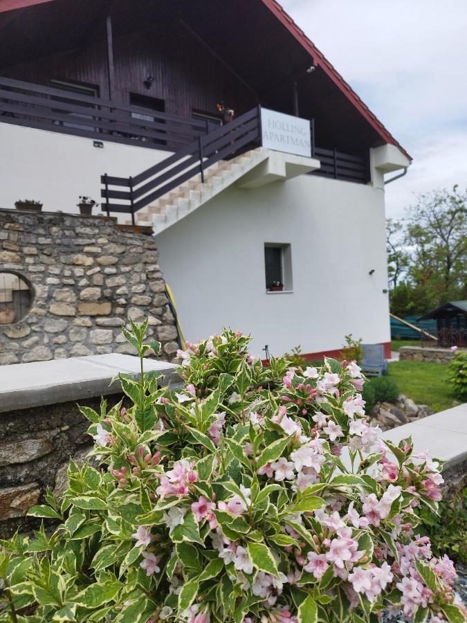 Holling Apartman Fertőboz Exterior foto